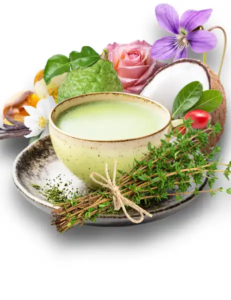 Green Tea & Thyme Clean Fragrance - Fragrances
